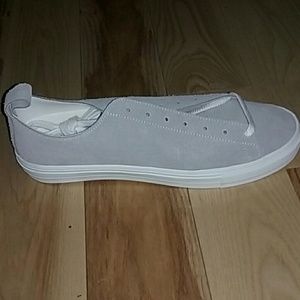 Buddy Bull Terrier lo